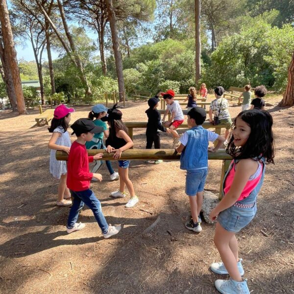 481297434_1163526165466532_6732092067941240301_n