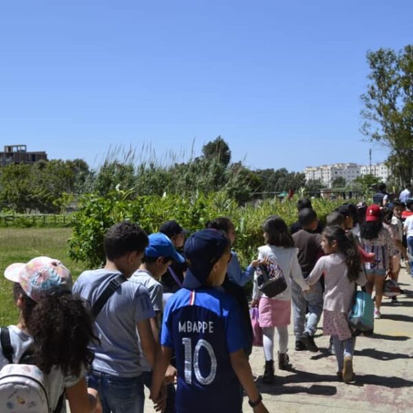 60349434_2266474513669231_2894755928270176256_n