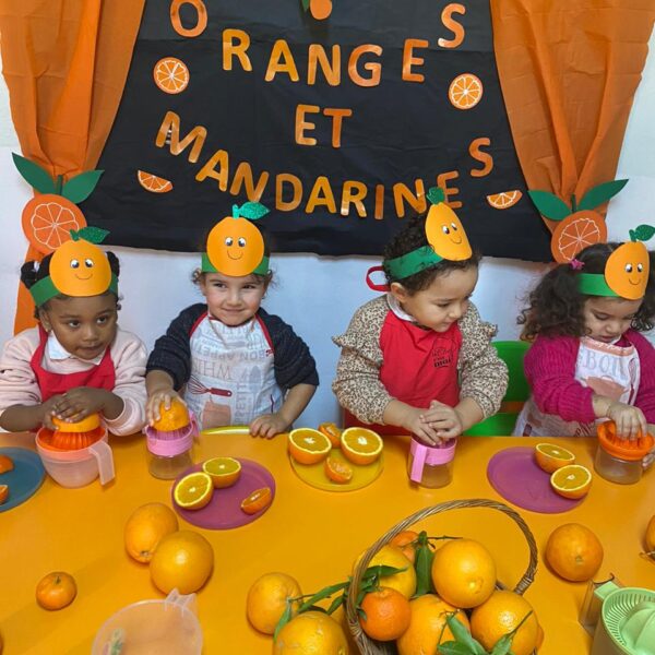 WhatsApp Image 2025-08-29 at 14.59.24